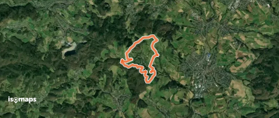 Rundwanderweg Rimbach Kreiswald 11: Büchertshüttenweg