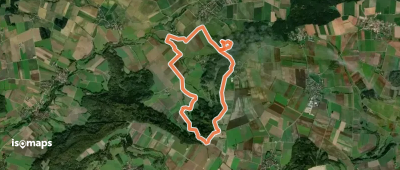 Märzenbecherwald