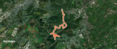 4: Wälder der Welt
