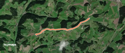 Ober Scheidegg - Büelfeld