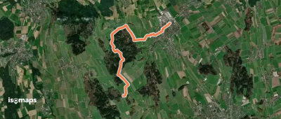 Boswil - Brandholz