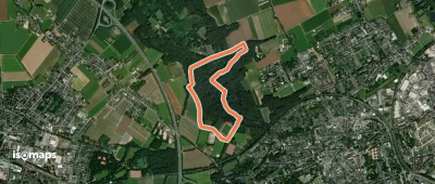 Rundweg A1 Bismarkturm