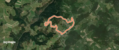 Weg Schwammerling