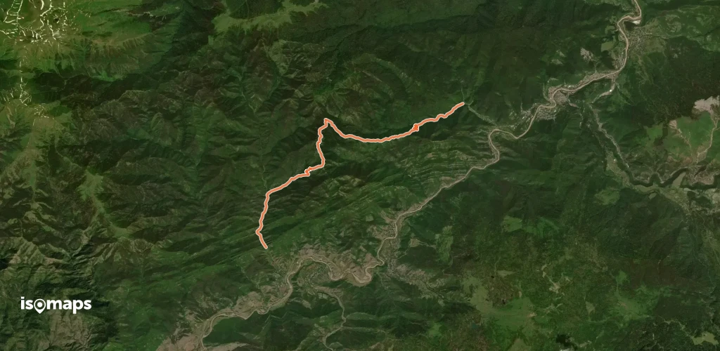 Following Wildlife Traces