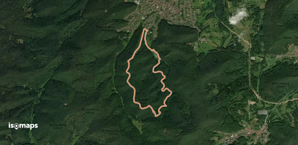 Hauensteiner Nr. 5/Westseite