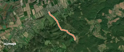Königstetten - Hainbuch