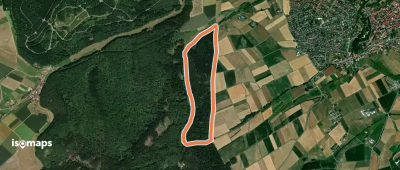 Rundwanderweg Wolfhager Stadtwald 3