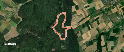 Rundwanderweg Wolfhager Stadtwald 1