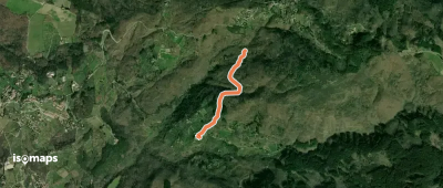 OSM Route 3832817