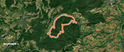 Dannenfels 7: Falkenstein