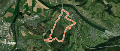 Longuich - Kleine Waldschleife