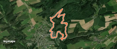 Vulkaneifel-Pfad: Manderscheider Burgenstieg