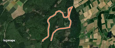 Rundwanderweg Wolfhager Stadtwald 4
