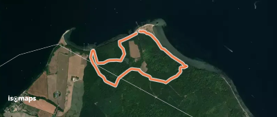 Gul rute - Stenderupskovene