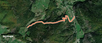 OSM Route 3861184
