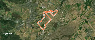 Steinfeldlauf 19,4 km