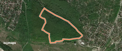 Z↺ (Kamara-erdő, erdészház – Kamara-erdő)