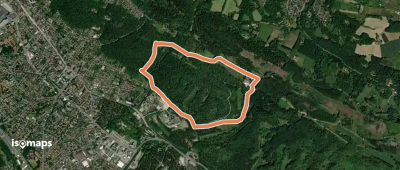 NaturZeitReise 3 - Jahreszeiten im Buchenwald