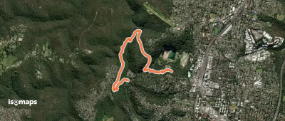 Blue Gum Walk
