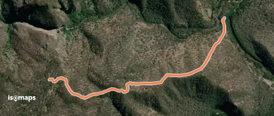 White Track