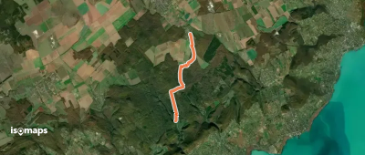 P+ (Veszprémfajsz – Koloska-völgy)