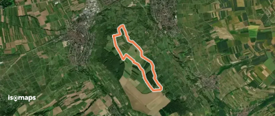 Ingelheim: Rundweg Westerberg