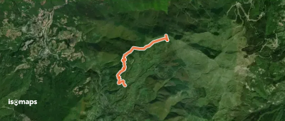 OSM Route 4005567