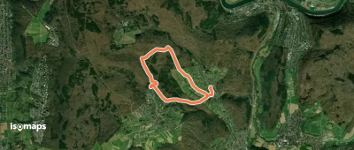 Rundwanderweg Waldhilsbach 12