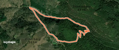 Rundwanderweg Forsthaus Annweiler 5
