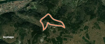 Rundwanderweg Königstuhl 4: Königstuhl-Rundweg