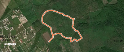 Z╱ (Öreg tölgy erdei tanösvény (Telki, erdő széle – Zsír-hegyi-erdő – Telki, erdő széle)