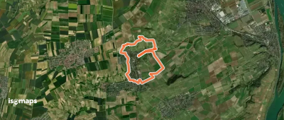 Große Runde Gau-Bischofsheim