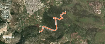 OSM Route 4136194