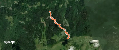 Sentiero Brigata Fiamme Verdi Ermanno Margheriti - Variante Pantaghino - Passo Pezzeda Mattina