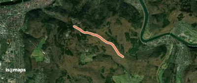 Wanderweg Königstuhl 11