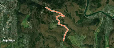 Wanderweg Königstuhl 12