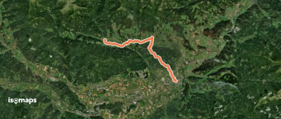 Via Alpina Purple A22