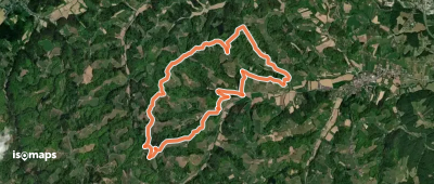 Über Stock und Wein