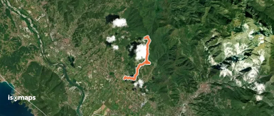 Coll. VF - Olmarello - Sarticola – Monticello – C. Bertella