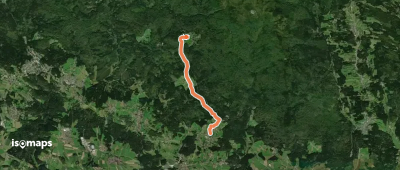 Laubbaum