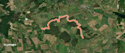 Bornstedt-Neckendorf-Holzzelle