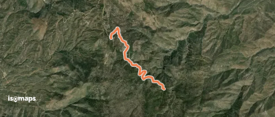 Pigeon Trail #134