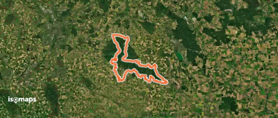 Elmkreisel
