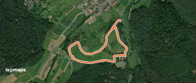 Rundwanderweg Fischbachtal Ruhehain 1: Rußberg-Weg