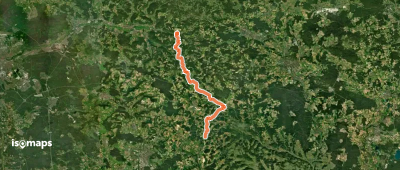 Gelbkreuz (Erzweg Birgland Schlaufe)