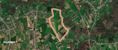 Peersewandeling
