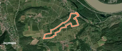 Wachauer Marillen-Erlebnisweg Angern - Krems Süd