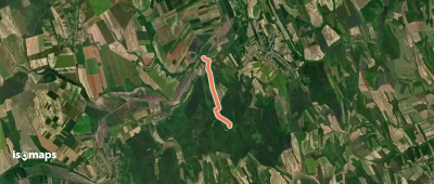 Z (Dúzs – Mucsi)