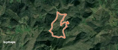 Elurzuloen bidea