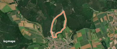 Wickenhohl/Sengfeld_Runde